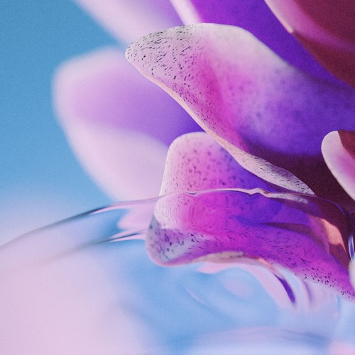 puulse, maybealice - fever