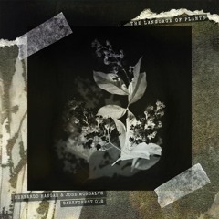 P R E M I  E R E: Jose Monsalve - Flower Of Life [DARKFOREST 018]