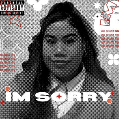 im sorry (freestyle)