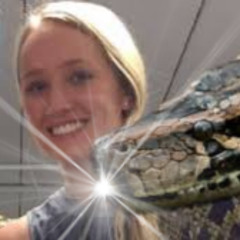 LATEST 18+ ONE GIRL FIFTY SNAKE VIRAL VIDEO ONE GIRL 50 SNAKE