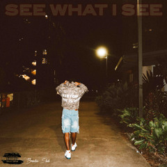 see what i see