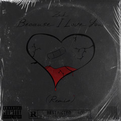 Because I Love You (Remix)