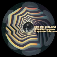 Nima Gorji & Up & Down - Falling  ( Lukea Remix ) [ Resonance ● Eighty​-​Eight ]
