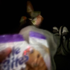 dropped (feat. dreambite)