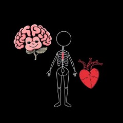 Mind Body & Soul
