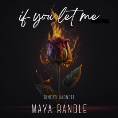 If You Let Me - Sinead Harnett (Maya Randle Bootleg)