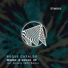 PREMIERE: Roque Cataldo - Where Is House (Novelo (MX) Remix) [SouthTech Music]