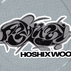 HOSHI X WOOZI (SEVENTEEN) - STUPID IDIOT Remix