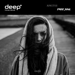 APNITUS - Free Soul (Original Mix) DHN039