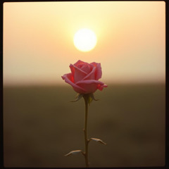 SANS TOI - KOMPA - Family Senci Intelligence - FAMILY SENCI - Kompa Version