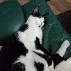 Vérité -alaink VS La MaMa.