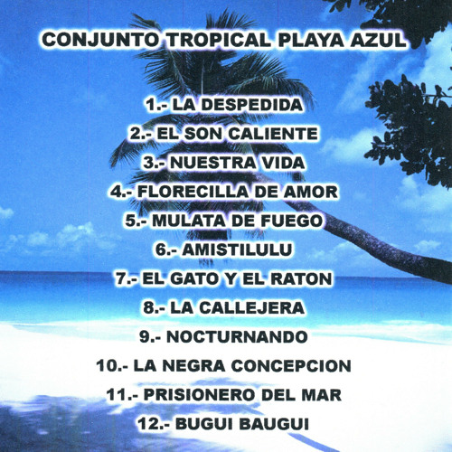 Canciones para ir a la playa - Playlist 