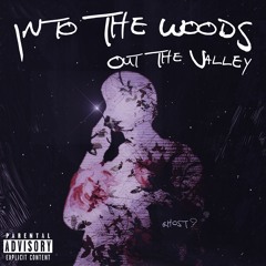 Into The Woods, Out The Valley | ON SPOTIFY