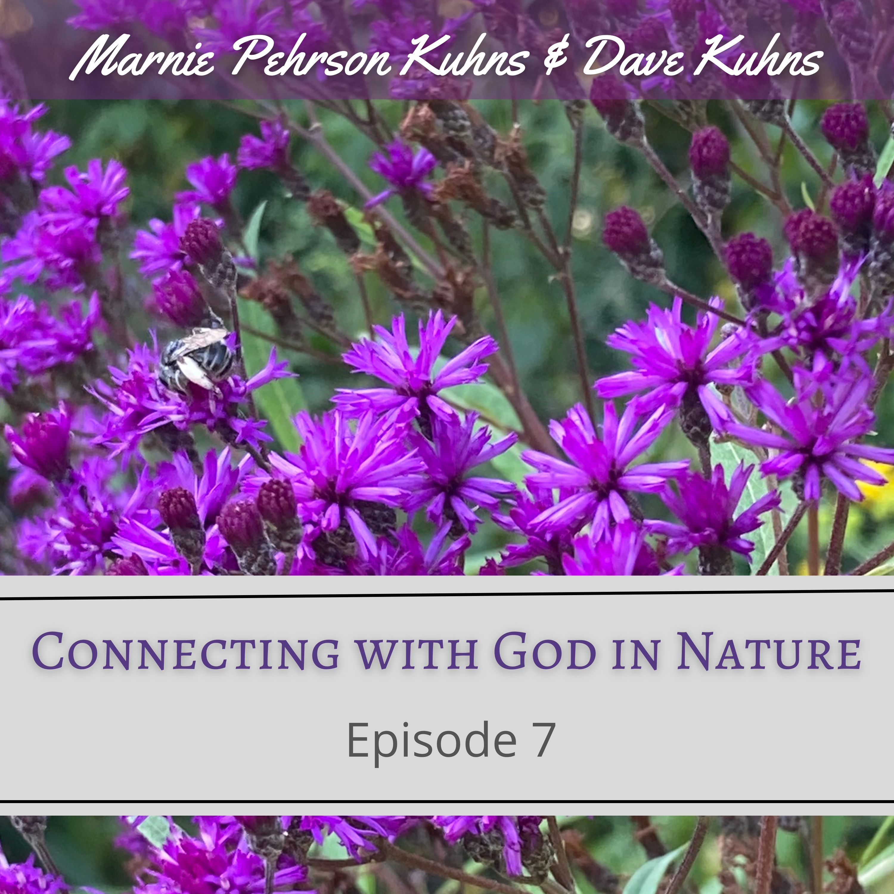 Faith & Freedom Principles: Spirit-Led Life & Front Porch Sense Podcasts