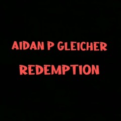 Aidan P Gleicher Party