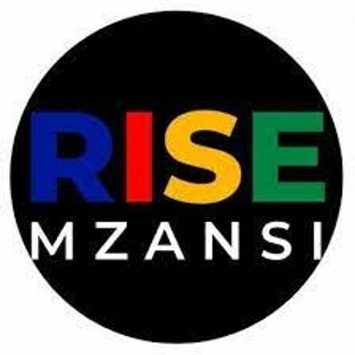 Another chaotic SONA – it imperils our future says convener of Rise Mzansi