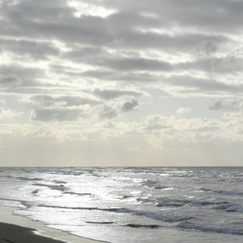 The Edge of The Water