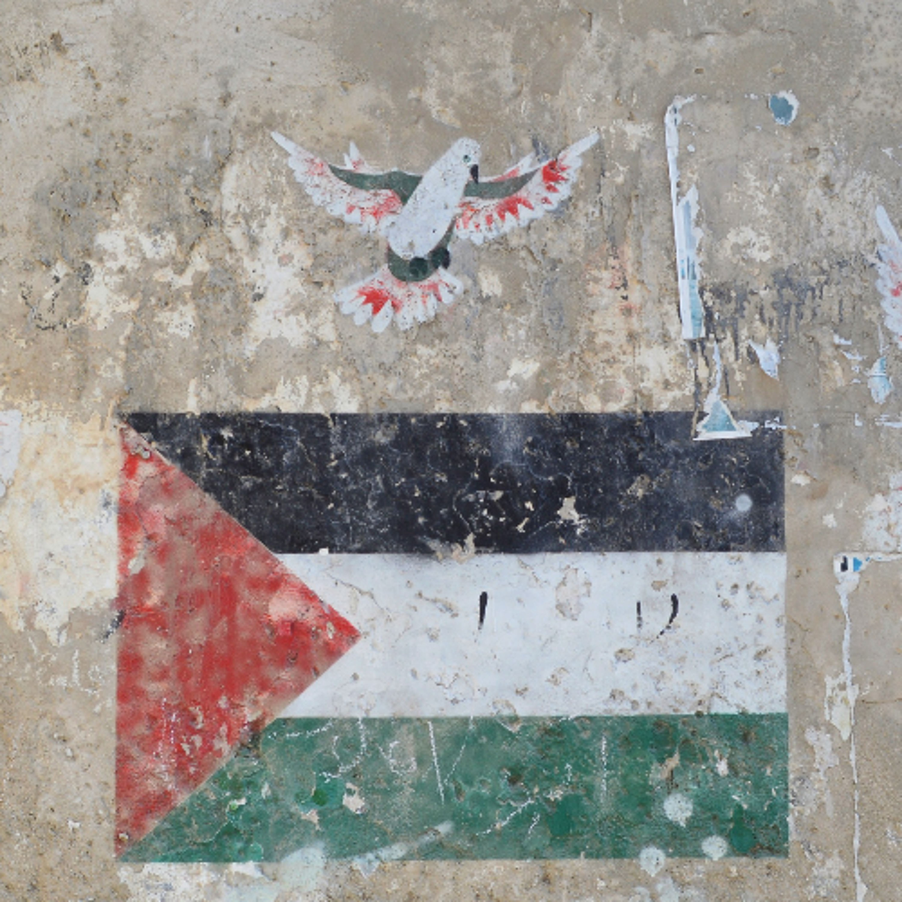 buzz_251224_Kathy-Kelly