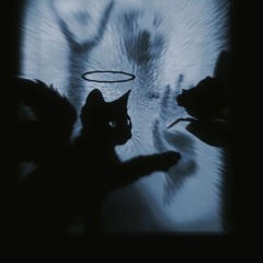 ⁺‧₊˚ ཐི⋆♱⋆ཋྀ ˚₊‧⁺