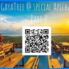 GayaTree @ Apichada Part 2