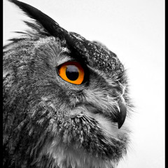 TECHWORLD(INTEUS999)