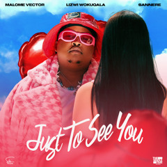 Just To See You (feat. Lizwi Wokuqala & Sannere)