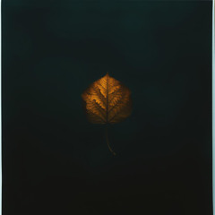 0,1 % – The Last Species