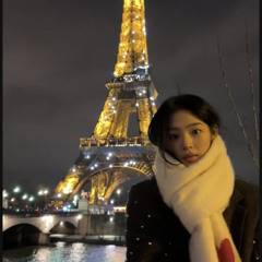 paris in the rain