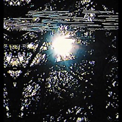 Anxiety (prod GSC X 80root)
