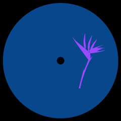 Premiere : Phill Prince - Transit (PRP019)