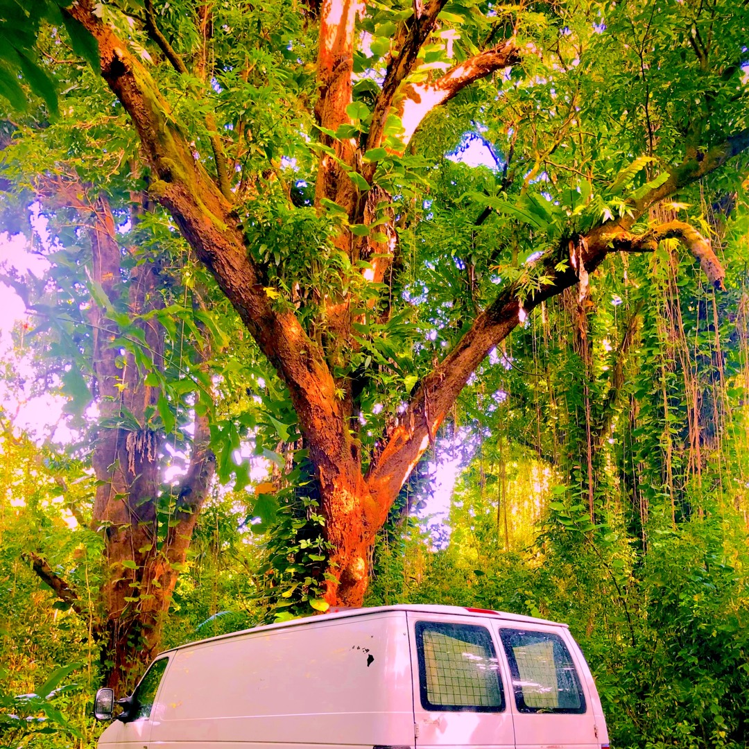 Stream Fat and Trippy Harmonic Minor Solo Spanish Guitar Improv by ...