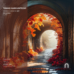 Tomas Harguintegui - Sense (Original Mix)