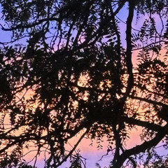 Meet Me Halfway (TikTok remix)