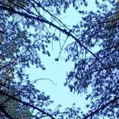 Eclipse - Rotting