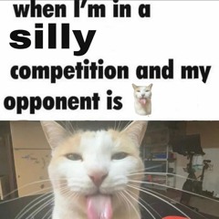 Silly lifting