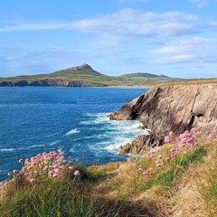 Rhosson - Viola Trio