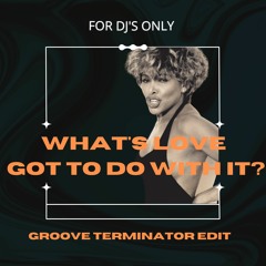 What's Love Got To Do With It? -(GROOVE TERMINATOR EDIT)