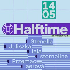 Halftime, Conne Island, 140525
