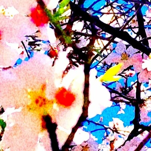 flowrs on the pvmntttt <333