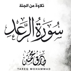 سورة الرعد - طارق محمد