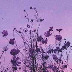 Anh Không Nhớ Em - Quách Thanh Duy | An (cover)