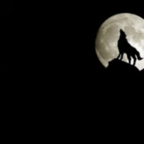 Dig Into Your Soul 2024