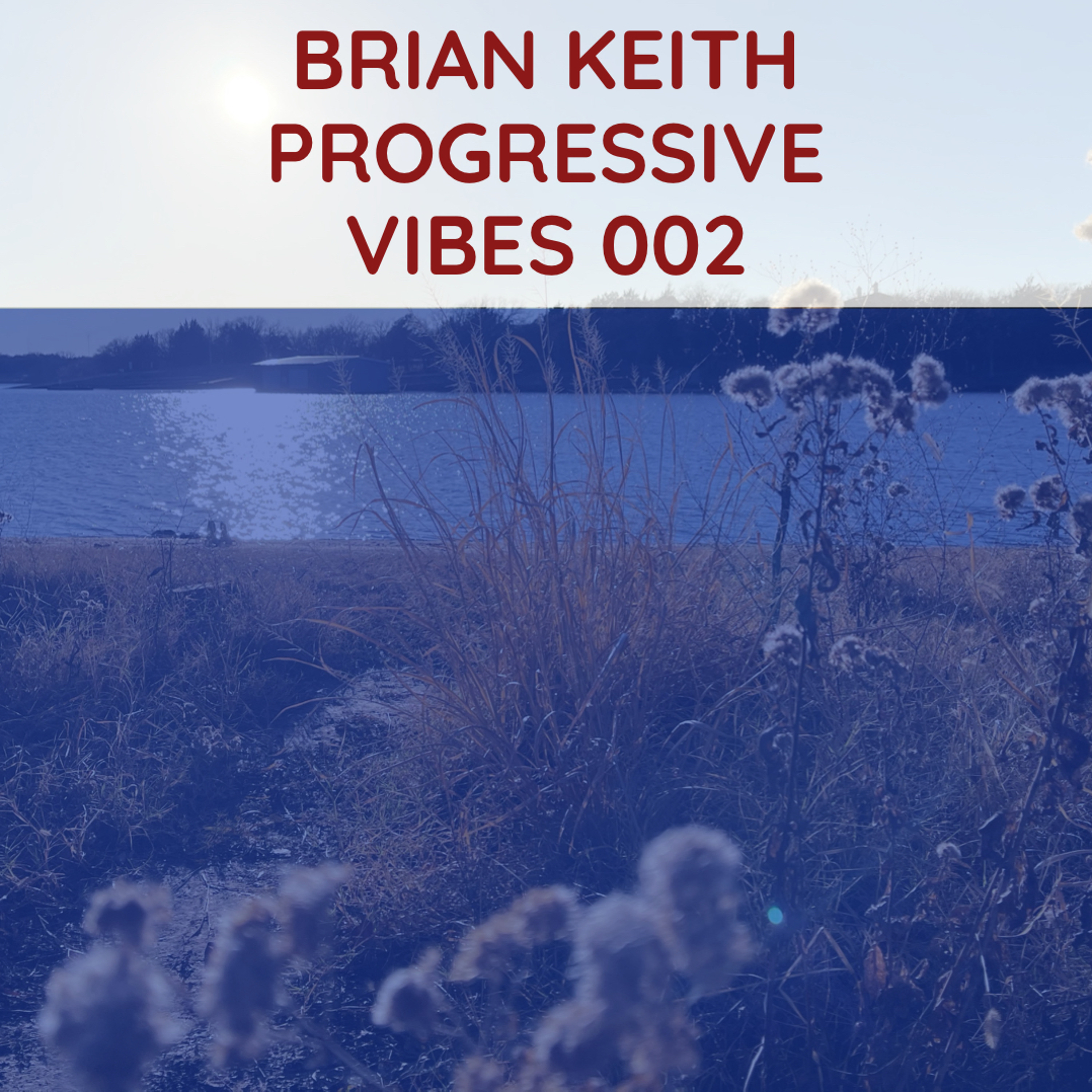 Brian Keith - Progressive Vibes