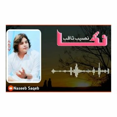Naseeb_Saqib_Nassa_|_نصیب_ثاقب_نوې_سندره_|_نڅا.mp3