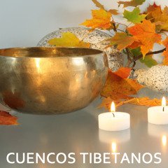 Listen to Musica Reiki by Cuencos Tibetanos in cuencos playlist online for  free on SoundCloud