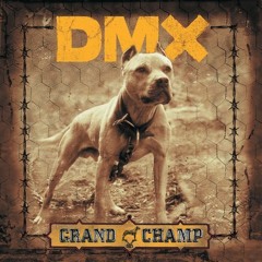 DMX - Where The Hood At?