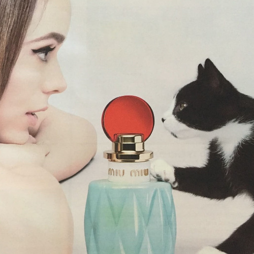 pissy pamper ( prod. nerfjayy + ssjlamar ) + 1