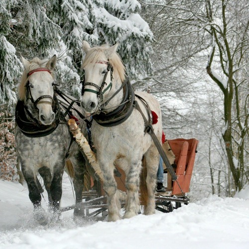 Icicle Sleigh Ride