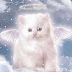 turned out fine (ft. Muqgen) (prod me)