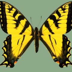 Juste Comme Ça - On s'est tous fait f _ _ _ _ er